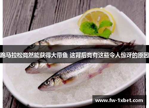 跑马拉松竟然能获得大带鱼 这背后竟有这些令人惊讶的原因