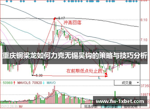 重庆铜梁龙如何力克无锡吴钩的策略与技巧分析
