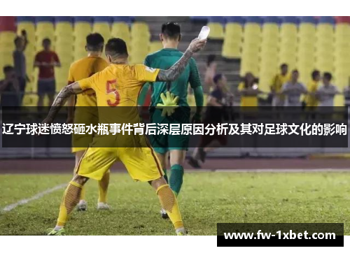 辽宁球迷愤怒砸水瓶事件背后深层原因分析及其对足球文化的影响