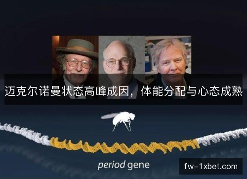 迈克尔诺曼状态高峰成因,体能分配与心态成熟 迈克尔诺曼状态高峰成因,体能分配与心态成熟